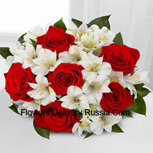 Bunch Of 7 Red Roses And Seasonal White Flowers Delivered in Russia