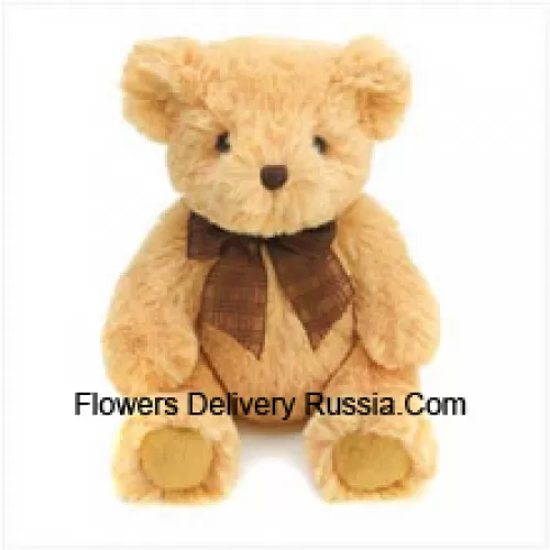 Cute Brown 6 Inch Teddy Bear